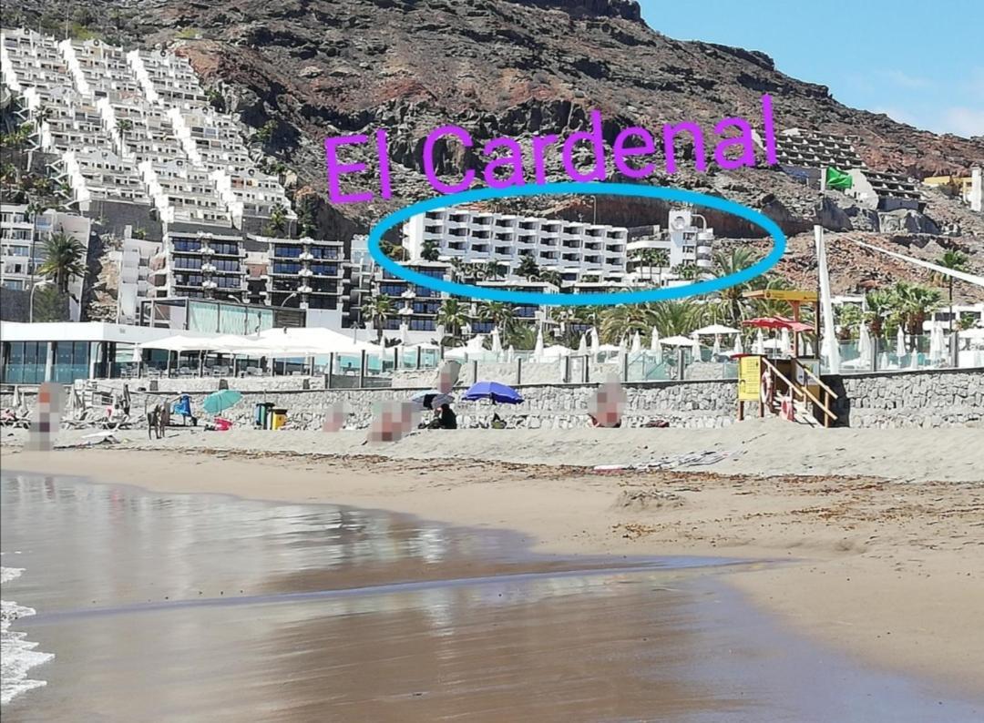 Apartamento El Cardenal Mick & Rosa ปลายาเดลกูรา ภายนอก รูปภาพ